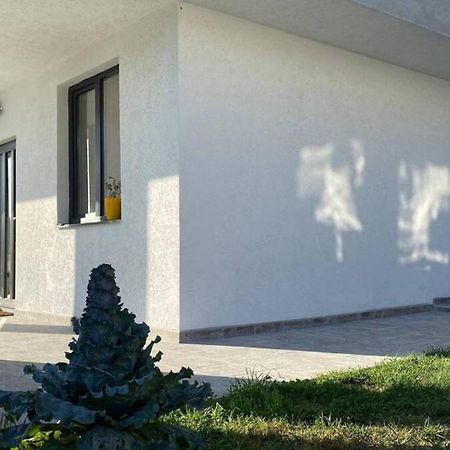 Lola Seaview Guest House. Уютный Домик В Варне Várna Kültér fotó