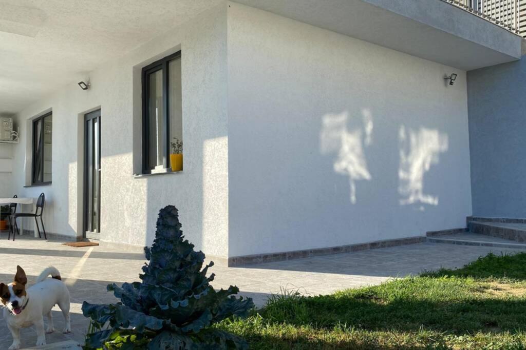 Lola Seaview Guest House. Уютный Домик В Варне Várna Kültér fotó