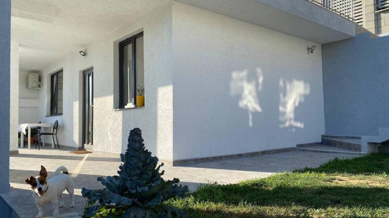 Lola Seaview Guest House. Уютный Домик В Варне Várna Kültér fotó